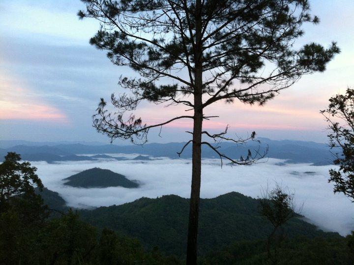 Phu Mork Dao Resort Pong Yaeng Екстер'єр фото